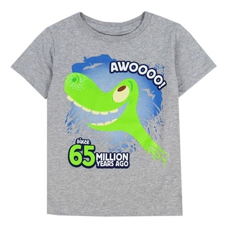 Disne The Good Dinosaur Spot and Arlo Toddler Boys Shirt Free Shipping Houston Kids Fashion Clothing Store