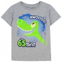 Disne The Good Dinosaur Spot and Arlo Toddler Boys Shirt Free Shipping Houston Kids Fashion Clothing Store
