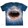 The Mountain Wicked Nasty Shark Blue Short Sleeve Youth Shirt At Houston Kids Fashion Clothing