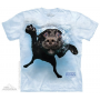 The Mountain Artwear Underwater Duchess By Seth Steel Short Sleeve Shirt At Houston Kids Fashion Clothing