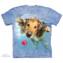 The Mountain Artwear Underwater Dogs Frisco Short Sleeve Shirt At Houston Kids Fashion Clothng
