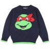 turtles sweatshirt