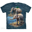 The Mountain Artwear Asian Elephants Boys Shirt