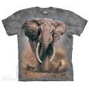 The Mountain Artwear African Elephant Boys Shirt Houston Kids Fashion Clothing Store