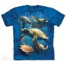 The Mountain Sea Turtle Family Short Sleeve Shirt Size Chart Houston Kids Fashion Clothing Store