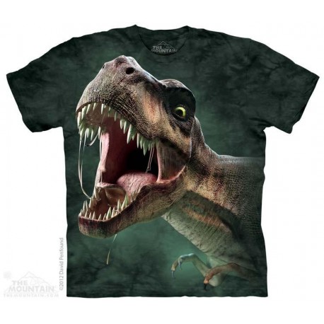 The Mountain T Rex Roar Short Sleeve Youth Shirt Houston Kids Fashion Clothing Store