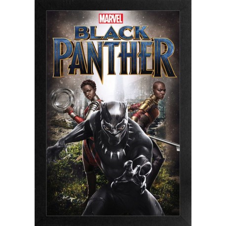 Marvel Comics Black Panther Group Photo Framed Art Print Free Shipping Houston Kids Fashion Clothing Store