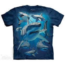 The Mountain Great White Sharks Short Sleeve Shirt Free Shipping Houston Kids Fashion Clothing Store