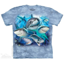 The Mountain Company Shark Selfie Short Sleeve Shirt Shark Week Free Shipping Houston Kids Fashion Clothing Store
