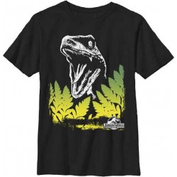 Jurassic World Surprise Raptor Boys Shirt Free Shipping Houston Kids Fashion Clothng Store