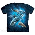 The Mountain Company Shark Collage Kids Shirt Free Shipping Houston Kids Fashion Clothing Store