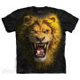 The Mountain Company Asian Lion Kids Shirt Free Shipping Houston Kids Fashion Clothing