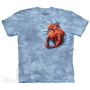 The Mountain Company Wyrmling Dragon Fantasy Boys Shirt Free Shipping Houston Kids Fashion Clothing Store