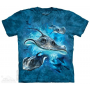 The Mountain Company Stingrays Youth Shirt Free Shipping Houston Kids Fashion Clothing Store