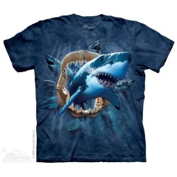The Mountain Company Shark Attack Boys Shirt Free Shipping Houston Kids Fashion Clothing Store