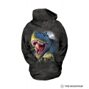 The Mountain Company Lightning T Rex Hoodie Sweatshirt Free Shipping Houston Kids Fashion Clothing Store