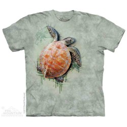 The Mountain Company Sea Turtle Climb Kids Shirt Free Shipping Houston Kids Fashion Clothing
