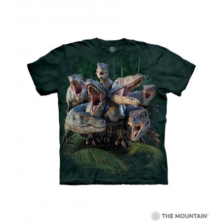 The Mountain The Raptor Gang Short Sleeve Youth Shirt Size Chart Free Shipping Houston Kids Fashioon Clothing Store