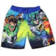 DC Comics The Justice League Boys Swim Trunks Free Shipping Houston Kids Fashion Clothing Store 