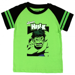 Marvel Comics Avengers The Incredible Hulk Toddler Boys Shirt Free Shipping Houston Kids Fashion Clothing
