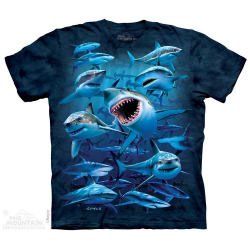 The Mountain Company Wish You Were Here Shark Boys Shirt Free Shipping Houston Kids Fashion Clothing