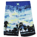 PS Aeropostale Boys Swim Trunks With Palm Tree Scene