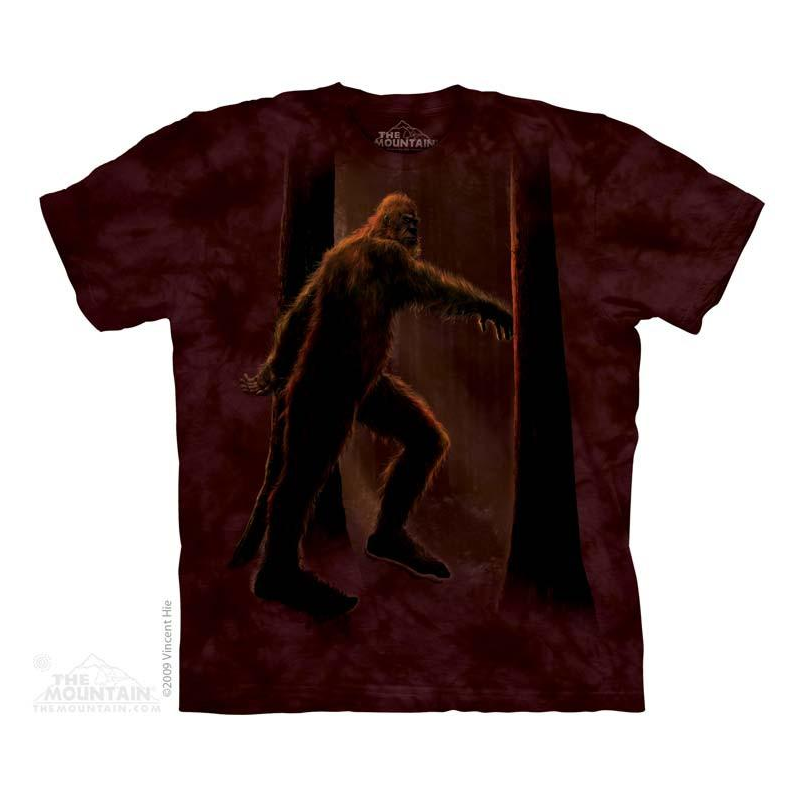 The Mountain Company Bigfoot Boys Shirt Free Shipping Houston Kids Fashion Clothing Store