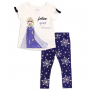 Disney Frozen Elsa Follow WYour Dreams Toddler Legging Houston Kids Fashion Clothings Set