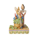 Jim Shore Beatrix Potter Peter Rabbit In Garden Figurine