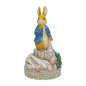 Enesco Gifts Jim Shore Beatrix Potter Peter Rabbit With Onions Figurine Free Shipping