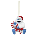 Rudolph the Red Nosed Reindeer Bumble with Candy Cane Ornament