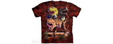 The Mountain Company Dinosaur Boys Shirts