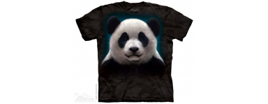 Panda Boys Clothing